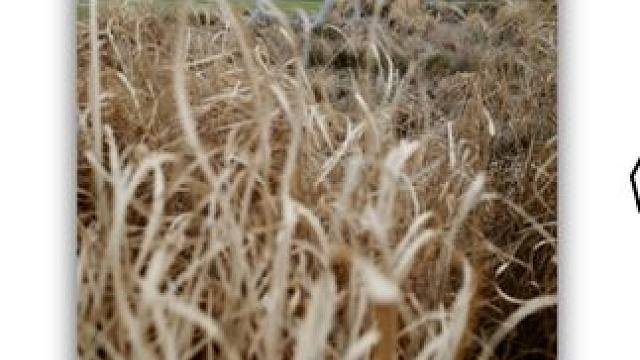 【第一视角摄影】理光gr3 28mm镜头拍照技巧#摄影 #扫街 #拍照 #公园 #理光gr3