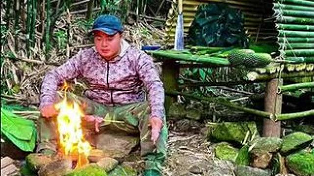 一人搭建奇特庇护所 #荒野建造 #野外建造 #庇护所