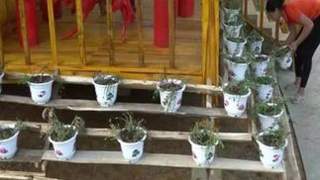 #野外生存 #野外生活纪录片 #每天都记录农村真实生活日常 #野外建造 #阿福在农村