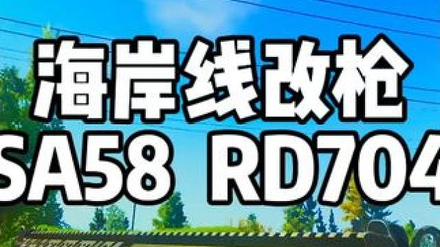 #逃离塔科夫  海岸线改枪  SA58+RD704