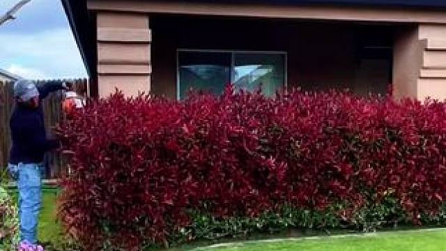 我发布了一个新视频，快来围观吧！