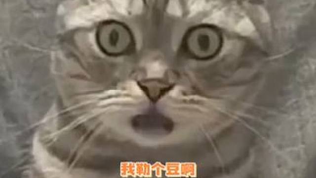 好家伙，难道他真的是天才？？？