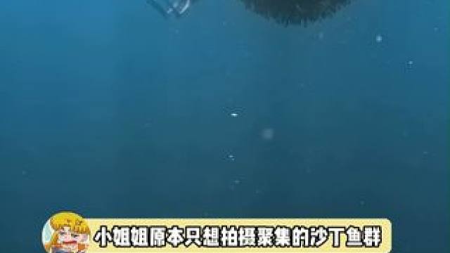 有一种鱼群掠过，原地就只剩下森森白骨的即视感