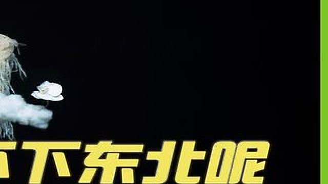 杨花落尽子规啼~