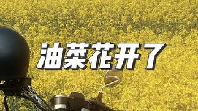 我上辈子大概过得很幸福，不然此情此景下，怎么会眼含热泪。
你闻到油菜花的清香了吗？
你有没有试过凑到