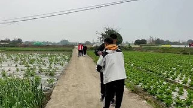 小院改造不仅仅物质空间的改造，更是乡村文化和经济的一次深刻变革#农村生活 #乡村振兴 #旧房改造 #