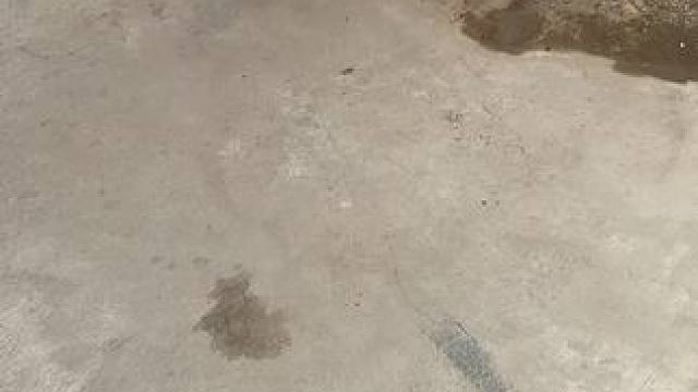 等我房租结束回家陪它。今天给你们看看它。