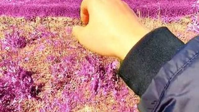 #村里的技术流运镜