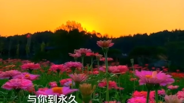 休闲时刻听听歌