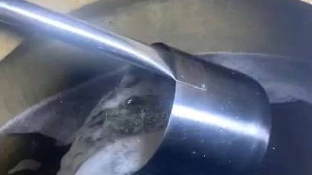 很多人一直在想，什么样的酒才叫好酒？我来告诉你，酒世界上最伟大发明，没有酒，恐怕中华几千年的历史都波