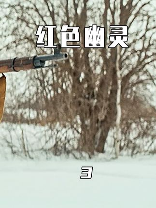 俄剧老枪,妻女被害,男人一人一枪,团灭整个德军小队 #老枪