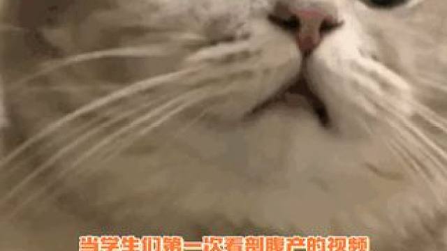 当学生们第一次看剖腹产的视频......