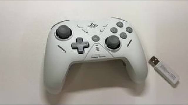 解锁100%盾反成功率了家人们#魔阁勇士手柄 #任天堂switch #游戏日常