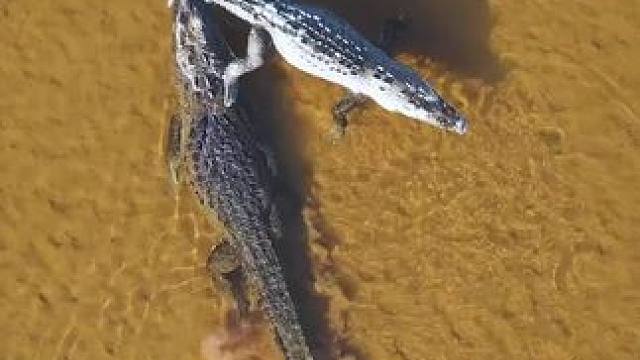 我发布了一个新视频，快来围观吧！