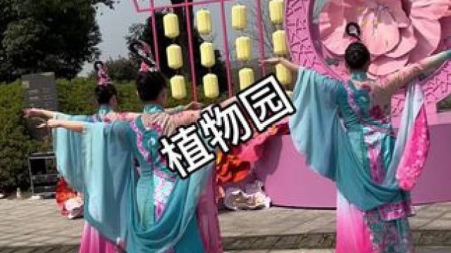 植物园的樱花太美了 #樱花镇开春醒计划 #户外 #亲子游玩好去处 #情侣日常 #闺蜜