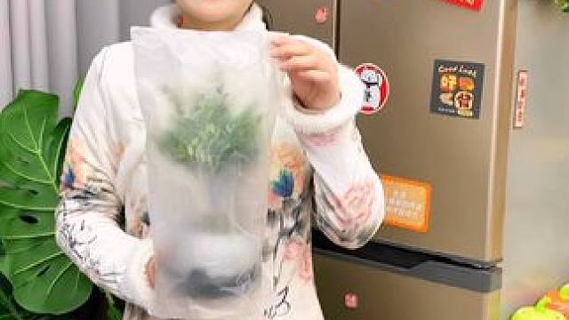 #小叶赤楠又叫金丝楠木，春天来了，可以在客厅办公桌养上绿植 #精品盆栽#精品盆景