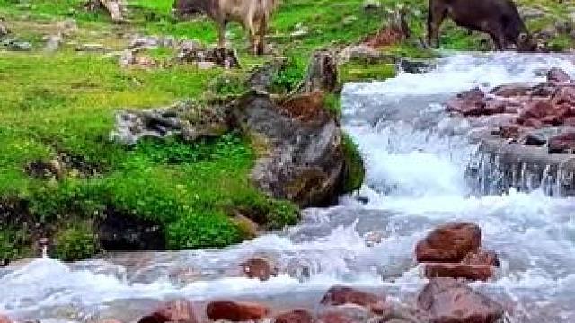 “已经开始期待夏天了# 总要去一趟新疆吧”. #那拉提草原 #除了看风景我还能干啥 #夏天的草原美得