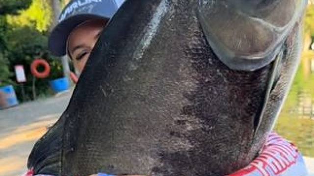 #国外视频分享 #好大一条鱼 #钓鱼的乐趣只有钓鱼人懂