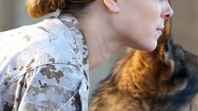 战犬与教练的战友情 #战犬瑞克斯 #电影解说 #狗狗