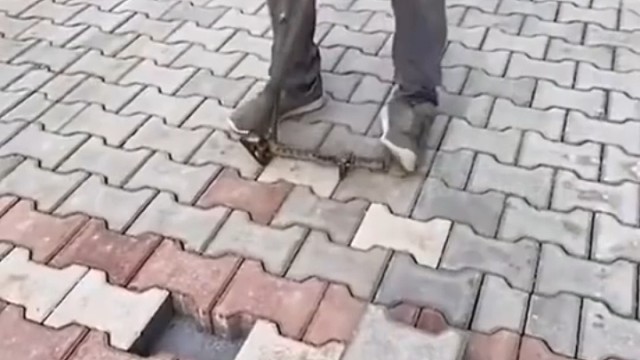 这个工作没有好眼力真的干不好