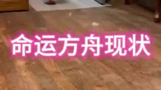 #命运方舟 #游戏现状
