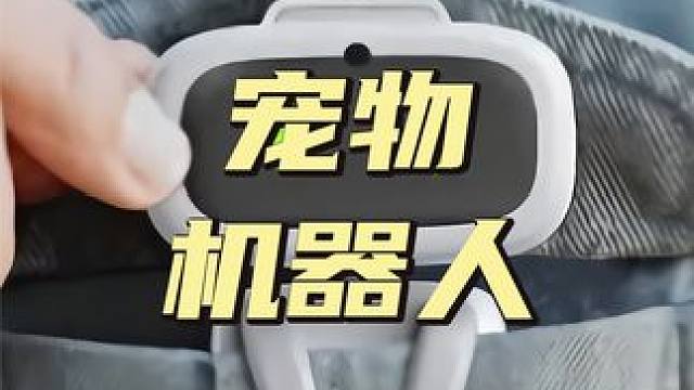 口袋里的宠物机器人，还是多功能小助手，售价1800元左右 #宠物机器人  #科技 #人工智能 