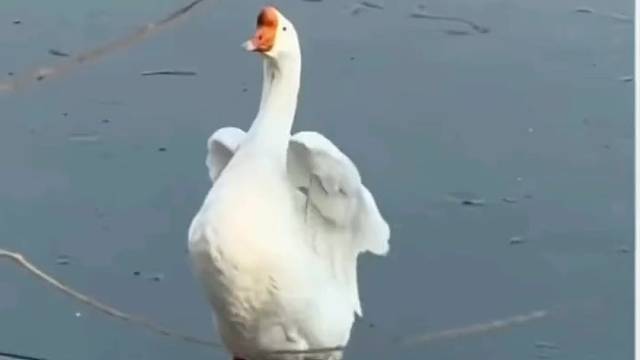 #混不进的圈子别硬挤