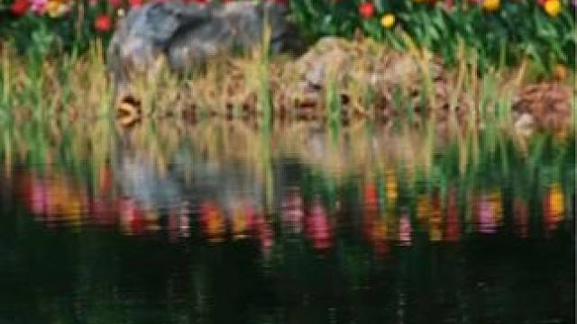 春天当然要用镜头记录~