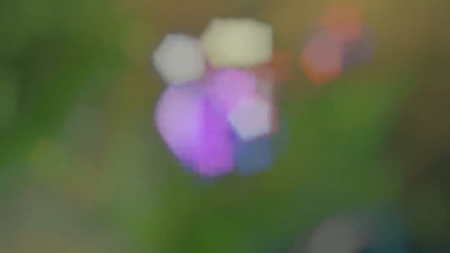 雕虫小技竟敢班门弄斧