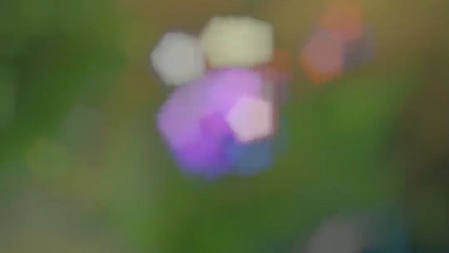 雕虫小技竟敢班门弄斧