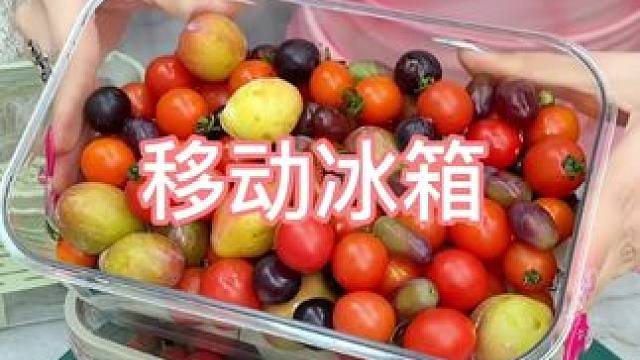 马上出去踏青了 这个移动的冰盒可以安排上了#保鲜盒#食物保鲜#野餐必备