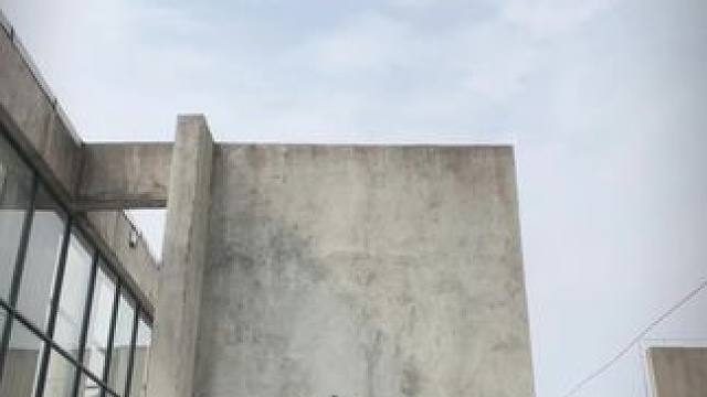 #alex编舞 #swag舞蹈挑战 #swag 来势汹汹