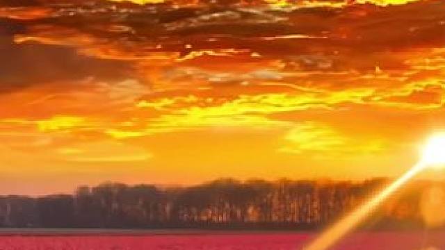 真想有个女朋友一起欣赏！