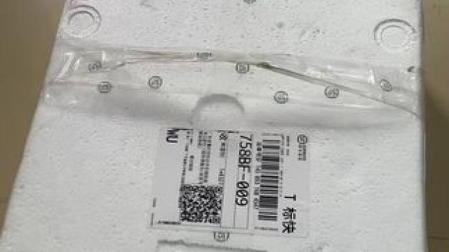 这是皇室金还是皇室银？#观赏鱼 #原生鱼 #水族 #吉罗鱼 #新鱼入缸