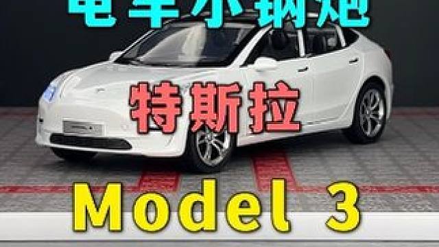 我有钱我不花-我攒着买特斯拉-Model3合金车模型震撼来袭 #汽车模型 #合金车模 #特斯拉