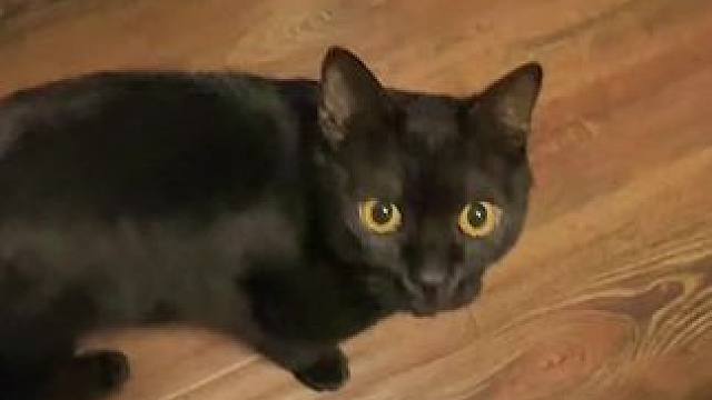 我发布了一个新视频，快来围观吧！