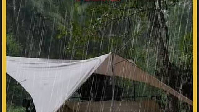 雨天深林中露营 #雨天露营 #雨天露营更是一种享受 #户外露营 #解压视频
