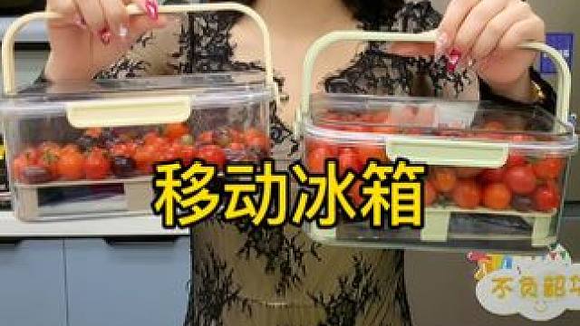 马上出去踏青了 这个移动的冰盒可以安排上了#保鲜盒 #食物保鲜 #野餐必备