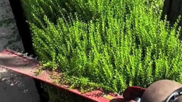 我发布了一个新视频，快来围观吧！