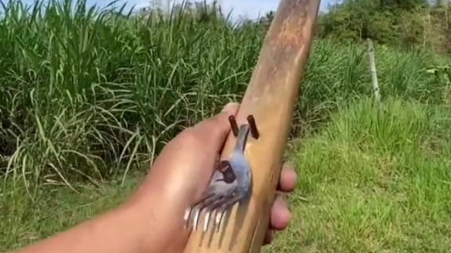 这弹弓是什么水平？