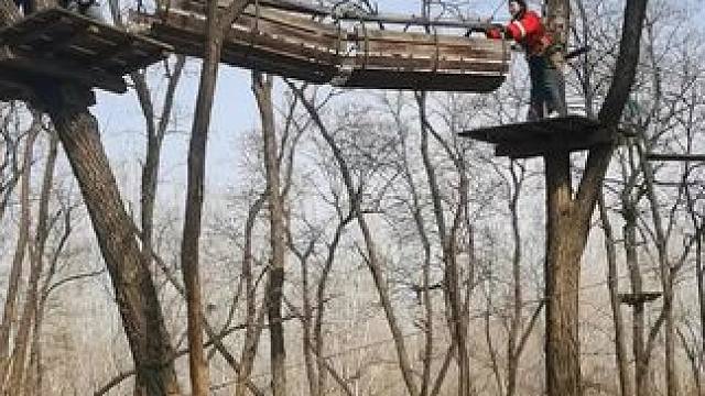 #亲子游玩好去处 #丛林探险 #探险 #亲子游乐园推荐