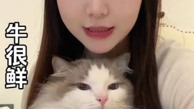 50抵100 牛肉当饭吃#鲜牛肉 #牛很鲜潮汕牛肉火锅 #潮汕牛肉火锅 #附近潮汕牛