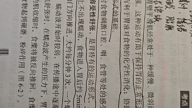 生理学基础