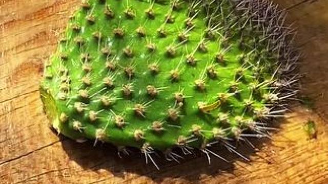 我发布了一个新视频，快来围观吧！