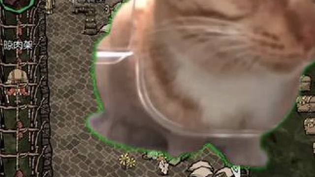 炫物资被朋友发现了。#饥荒新家园 #饥困荒野 #游戏日常 #手游