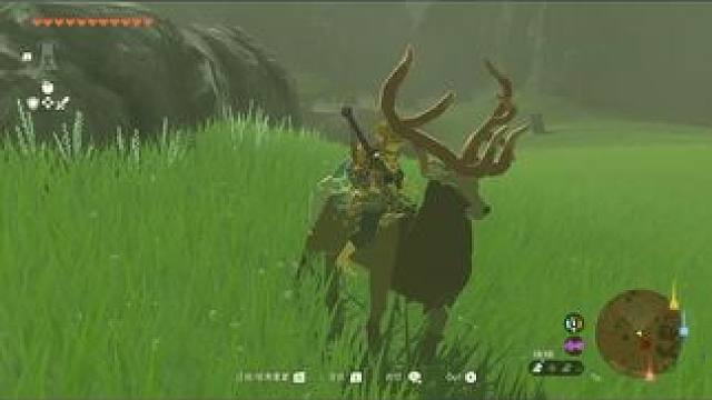 #主机游戏 #游戏日常 #塞尔达传说旷野之息 以前都是盾跳骑马，今天来个盾跳骑鹿