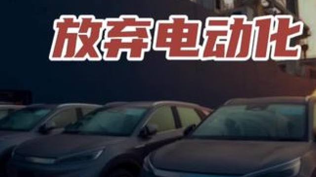 各大车企放弃电动化 #领航计划 #买车那点事 #新能源汽车
