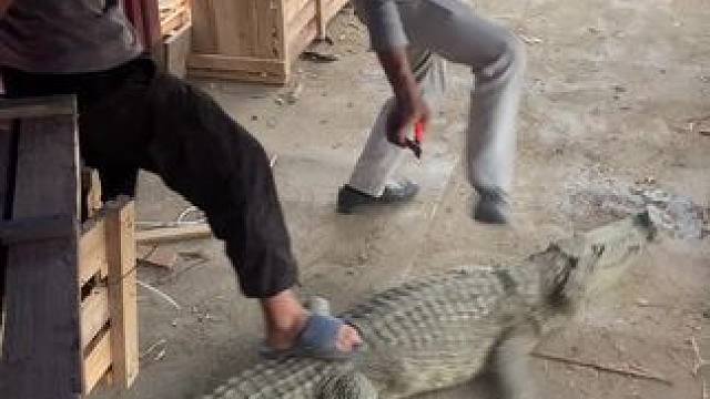 三个人都踩不住，差点被咬哦