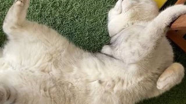 天天除了叛逆造反、偶尔还️来点人身攻击