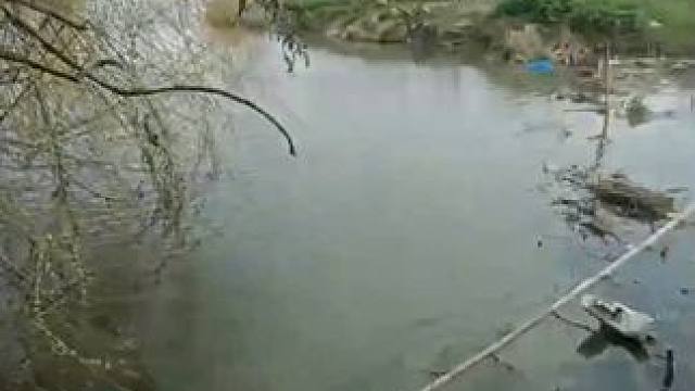 什么钓点！大鲫大鲤狂拉！你想不想来？ #野钓 #大板鲫 #爆护 #钓点 #热点